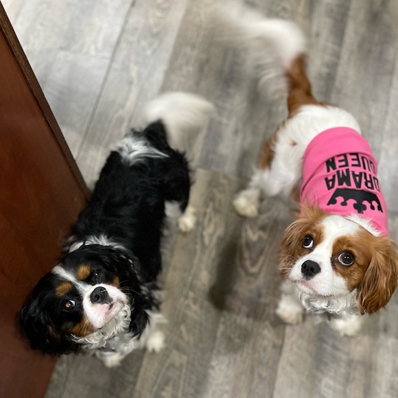 Meet your Posher, Sarah - Picture 15 of 16